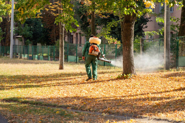 Best Mosquito Control Services  in Sam Rayburn, TX